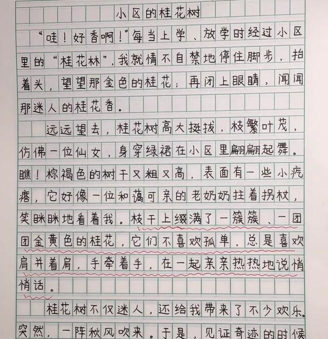 米乐m6官方网站流氓的作文小学生作文小学课堂优秀作文小学老师晒小学生优秀作文不仅