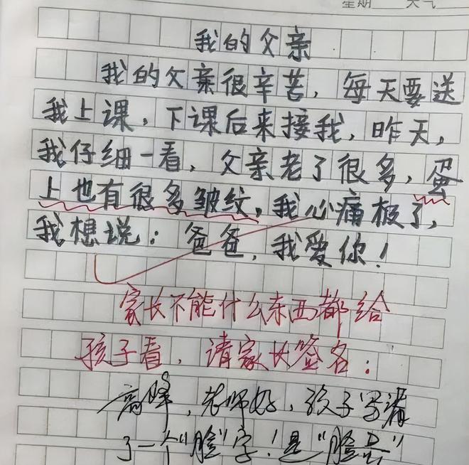 米乐官方网站作文素材杂志电子版小学生作文小学生作文优秀小学生作文《我的爸妈》意外