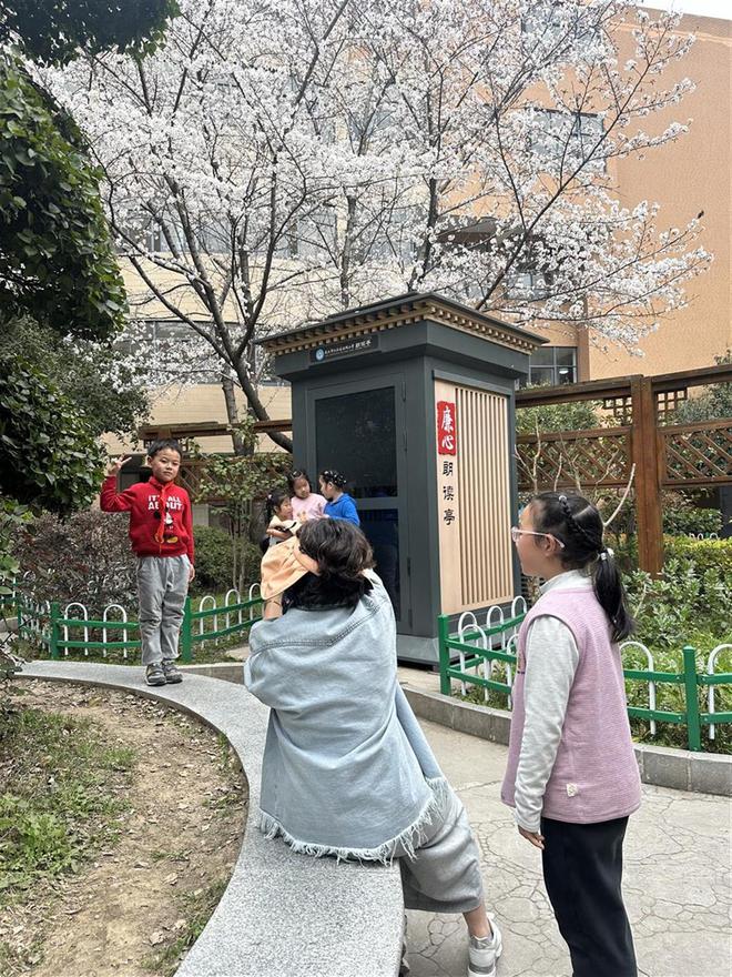 米乐官方网站小学生作文优秀作文 小学生在樱花树下唱歌把樱花写进作文这所小学以樱花